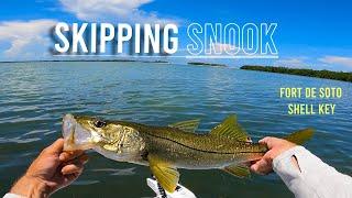 Fort De Soto & Shell Key Fishing - Tampa Bay