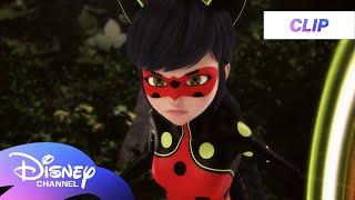 Miraculous World, London: At The Edge Of Time | Monarch's Wish Reveal | @disneychannel