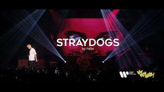 Felip - STRAYDOGS (Live at We Play Here)