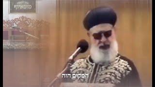 בתי הכנסת מוסאיוף - זיכוי הרבים הגדול בעולם