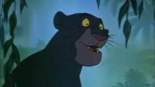 Bagheera Finds Mowgli