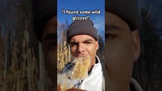 Man eats a cat tail plant#funny #gross #shorts