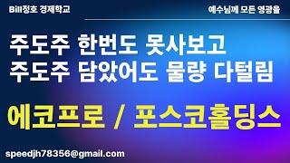 주도주 한번도 못사보고 주도주 담았어도 물량 다털림. 에코프로/포스코홀딩스