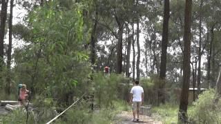 Bibi on the Flying Fox