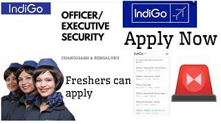 IndiGo Airline Ground Staff Job Vacancy|APPLY NOW|AVIATION LOVER