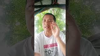 Pagbuhay ng Medalyon Paano hindi mbabaklas mabilis kumapit