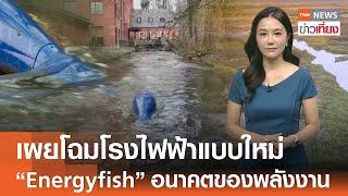 เผยโฉมโรงไฟฟ้าแบบใหม่ Energyfish อนาคตของพลังงาน | TNN ข่าวเที่ยง | 6-1-68