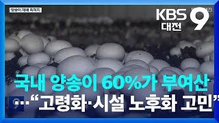 국내 양송이 60%가 부여산…“고령화·시설 노후화 고민” / KBS  2023.05.12.