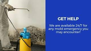 Atlanta Mold Damage Restoration | The Homestar Group