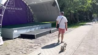 Парк отель Воздвиженское. Обзор номера.