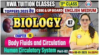 Class 11 Biology Chapter 15 Body Fluids and Circulation | Human Circulatory System | Biology By RWA