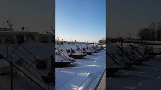 Речные трамвайчики зимуют #теплоход #корабли #архангельск #пристань #севернаядвина