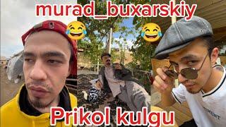 Prikol kulgu_murad buxarskiy_video yangi_2024