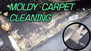 MOLDY CARPET EXTRACTION - Full Process with SATISFYING Real Sound