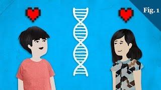 The Secret To A Happy Marriage Could Be In Your DNA