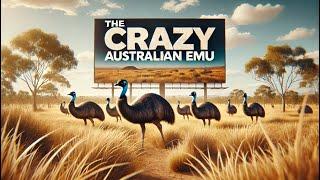 The Crazy Australian Emu 