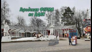Городская Ферма на ВДНХ.