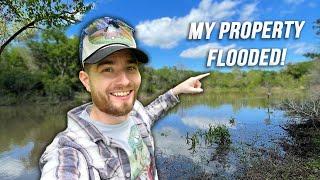 Exploring The River On My Abandoned Land! Water Management & Garden Updates