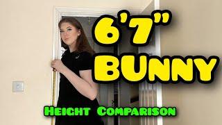 6'7" Super Tall and beautiful Giantess | Tall Girl | Giant woman Tall girl and Short guy Tall TikTok