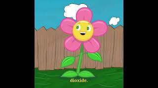 Photosynthesis:The Secret of Life on Earth #educationalreels #knowledgenest #Photosynthesis