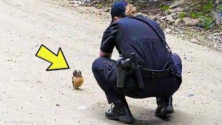 Baby Owl Keeps Following Officer For Help, When She Realizes Why, She Bursts Into Tears