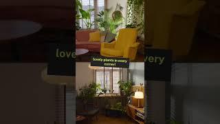 Designing Cozy & Stylish Homes in Kolkata | Space Factor Interior Magic