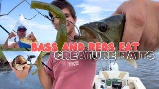 DockSide TV 'Brush Hawgs and Crawfish Crushing the Bass and Reds'