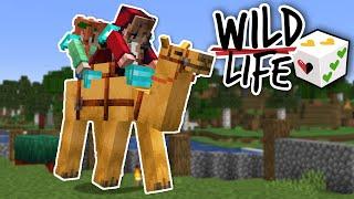 Loss | Wild Life: Episode 6