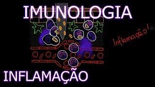 Aula: Imunologia - Inflamação | Imunologia #2