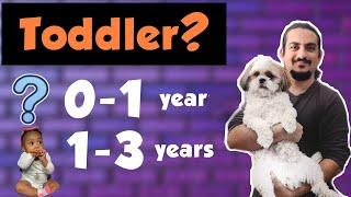 Ages and stages in the UK . who is toddler ? what is nursery school ?
