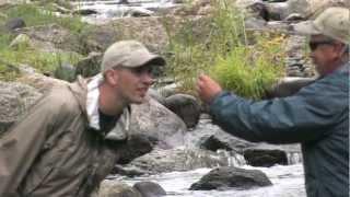 Atlantic Salmon Restoration in Maine: Orrington Dam Removal