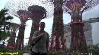 Singapore Gardens by the Bay Travel Guide