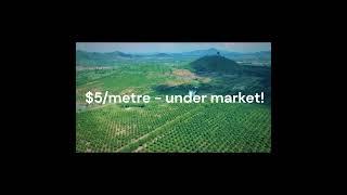 Incredible value 56-hectare land for sale Pailin | northwest Cambodia