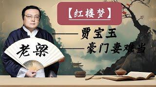 【老梁故事會】揭秘《紅樓夢》：賈寶玉的愛情成長與婚姻抉擇。豪門媳婦生存秘籍：權力、愛情與智慧的較量#紅樓夢#豪門生存#賈寶玉#愛情成長#王夫人#家族權力#愛情與婚姻#老梁故事匯