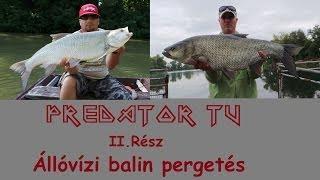 Predator TV II. Állóvízi balin pergetés