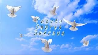 Подкидываем с Толиком голубей. Снова покрылись в облаках