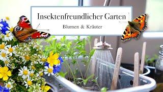  Insektenfreundlicher Garten - Aussaaten einjähriger Blumen & Kräuter #savethebees 