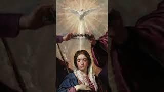 ÚLTIMO MOMENTO DE LA VIRGEN MARÍA #shorts #shortsvideo #shortvideo #shortsviral #short #reels #love