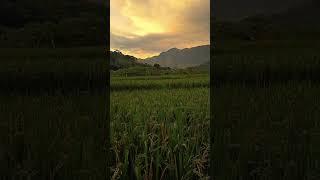 pemandan di sore hari