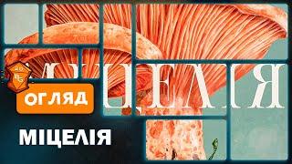 Міцелія Настільна Гра Огляд \  Побудуй Грибне Королівство Із Трикутників