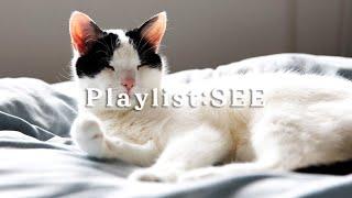 [playlist] 나른한 날, 멍 때리며 듣는 인디 포크록 노래 모음ㅣ인디 포크 락 플레이리스트ㅣKpop Indie Folk Rock Playlist (광고 없음)