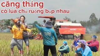Căng thẳng chủ ruộng bụp nhau cò lúa ép giá 6-600₫ xin 6-300₫ máy cắt 130 mới ken cắt lúa đài thơm