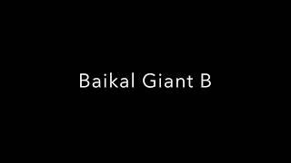 Baikal Giant B Miner Overview and Profitability Mining