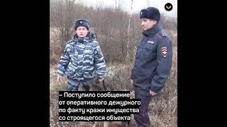Пёс Комар нашёл человека в овраге
