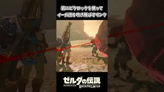 イーガ団をビタロックを使って吹き飛ばすリンクｗｗ【ゼルダの伝説 ブレス オブ ザ ワイルド】