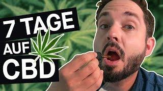 CBD-Selbstversuch: Legales Kiffen? Alles, was du über CBD wissen musst! || PULS Reportage