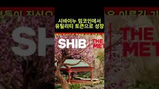 #시바이누 #시바이누코인전망 #shib