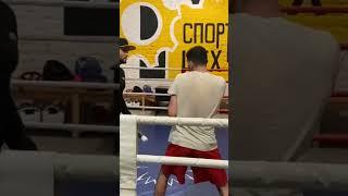 спортивный цех Воронеж. работа на лападанах с Али Тагиев. тренер Березкин.#boxing  #padworktraining