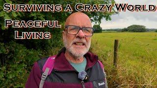 Surviving A Crazy World | Peaceful Living