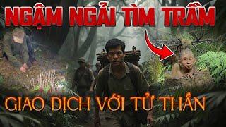 Ngậm Ngải Tìm Trầm: Hồi Ức Phu Trầm 30 Năm Ngậm Ngải, Giao Dịch Tử Thần Trong Rừng Thiêng